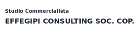 Studio Commercialista EFFEGIPI CONSULTING SOC. COP.